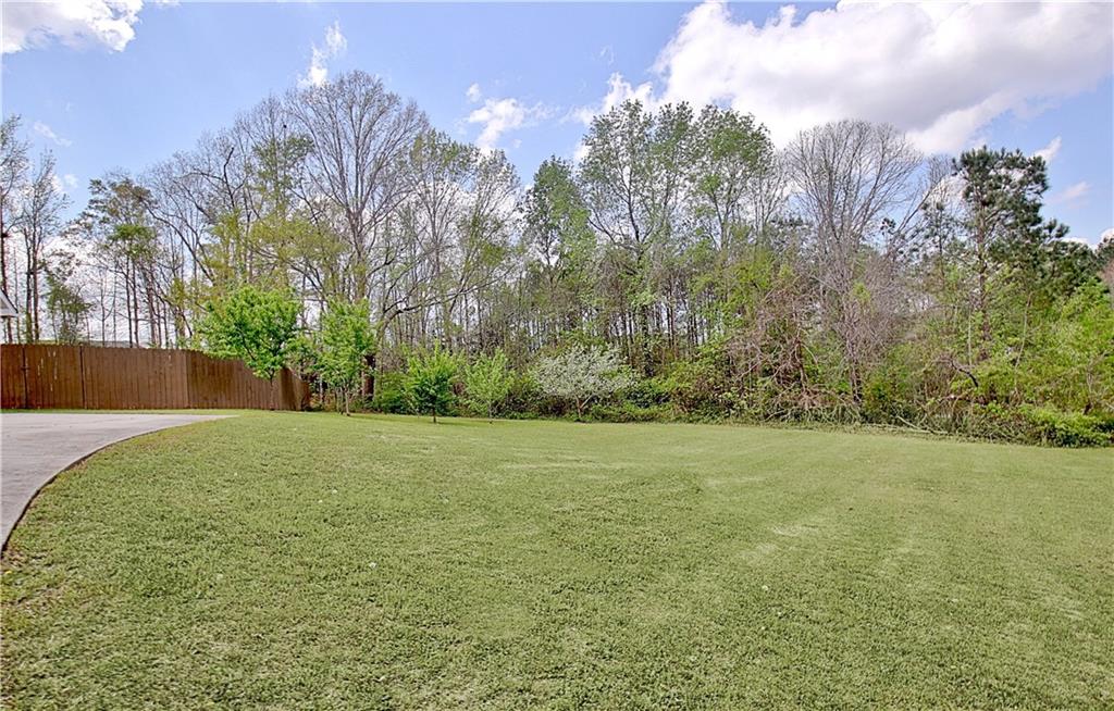12 Smokey Ridge Court Newnan, GA 30263 - Photo 65 of 76