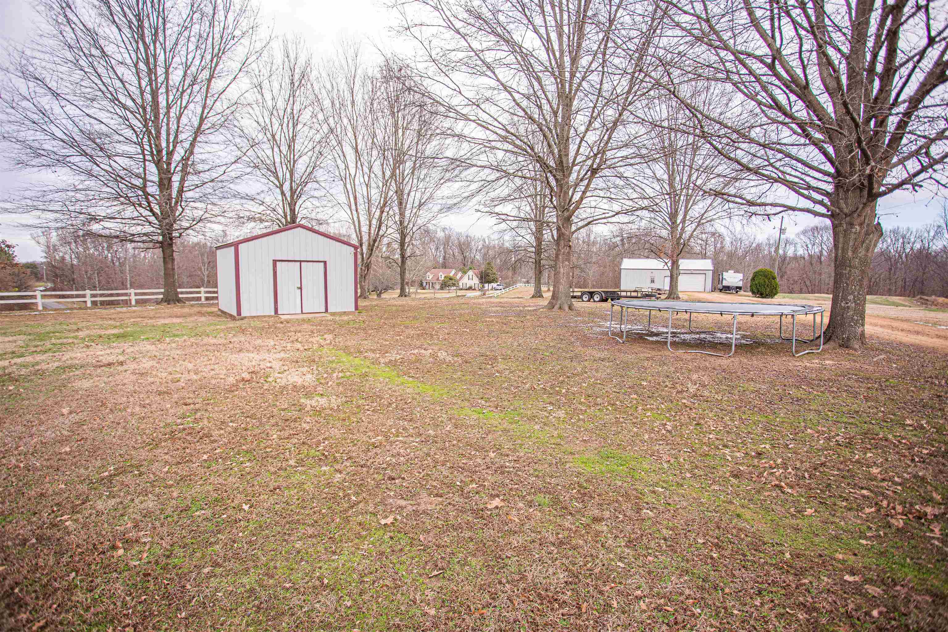 370 Dr Lewis Road Ripley, TN 38063 - Photo 23 of 25 a view of a yard with a large tree