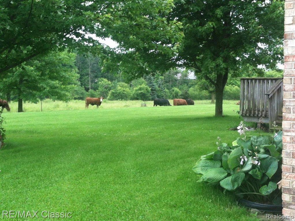 6455 Hessen Road Fair Haven, MI 48023 - Photo 17 of 23 IMG_0451.jpg