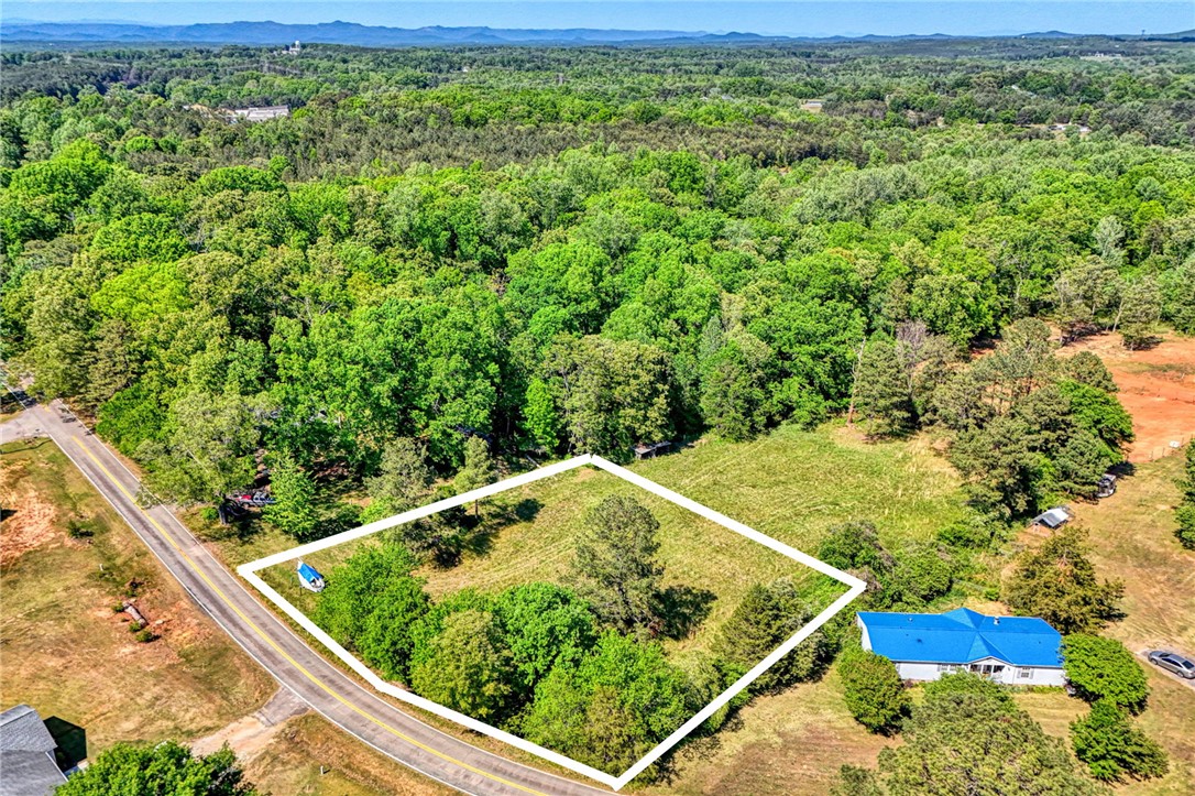 Expansive natural landscape with verdant trees and clear mountain views.