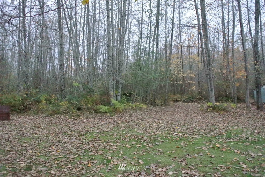 178 Hall Road Silverlake, WA 98645 - Photo 9 of 12 Gallery Image 9