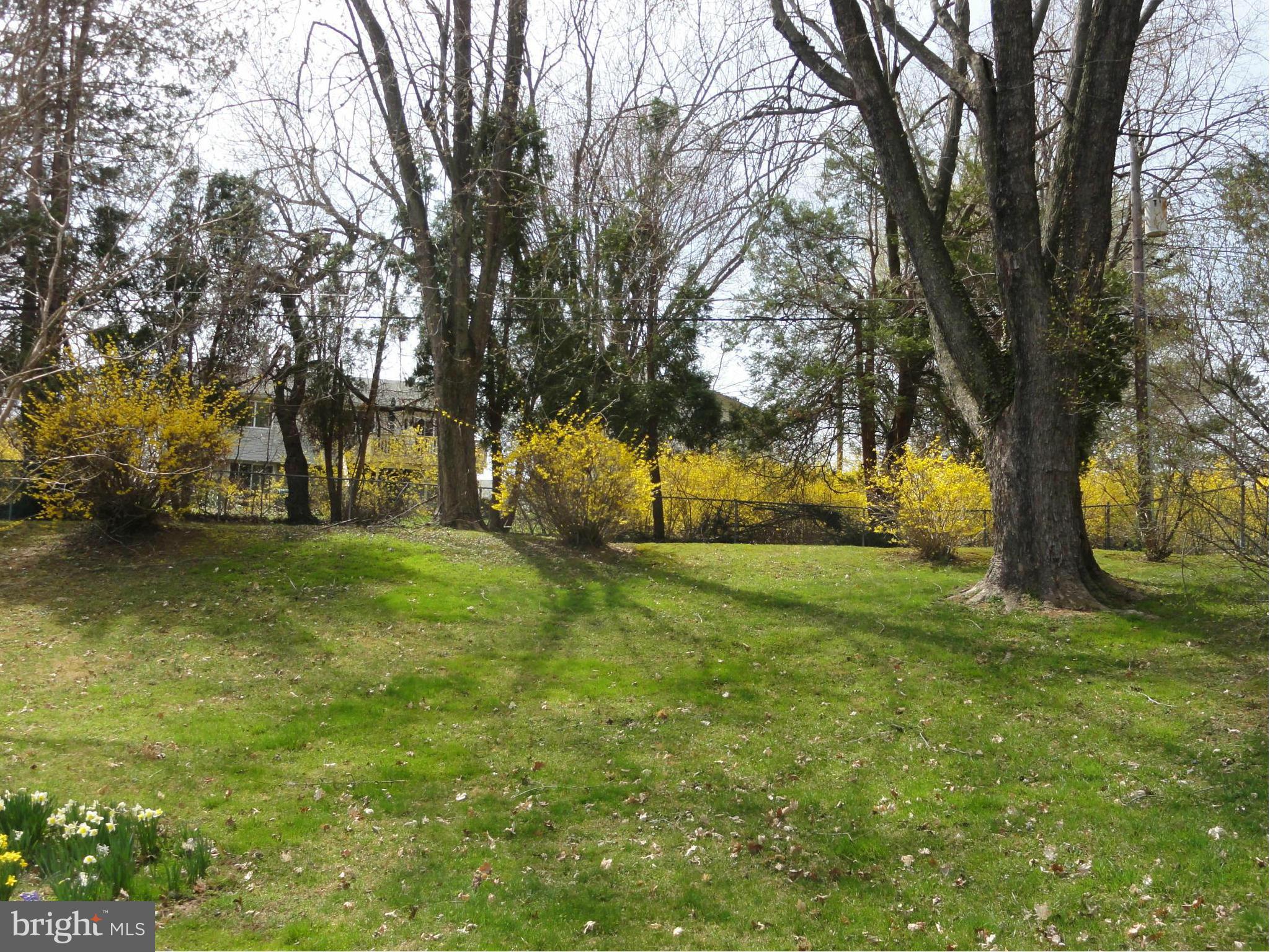 124 Chargeur Road Reisterstown, MD 21136 - Photo 20 of 22 Fenced back yard