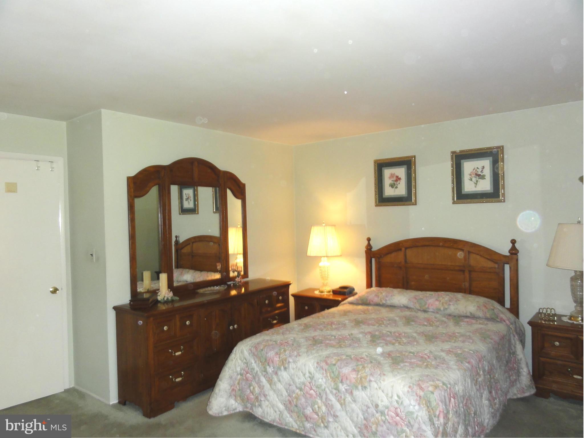 124 Chargeur Road Reisterstown, MD 21136 - Photo 10 of 22 Bedroom (Master)..another angle