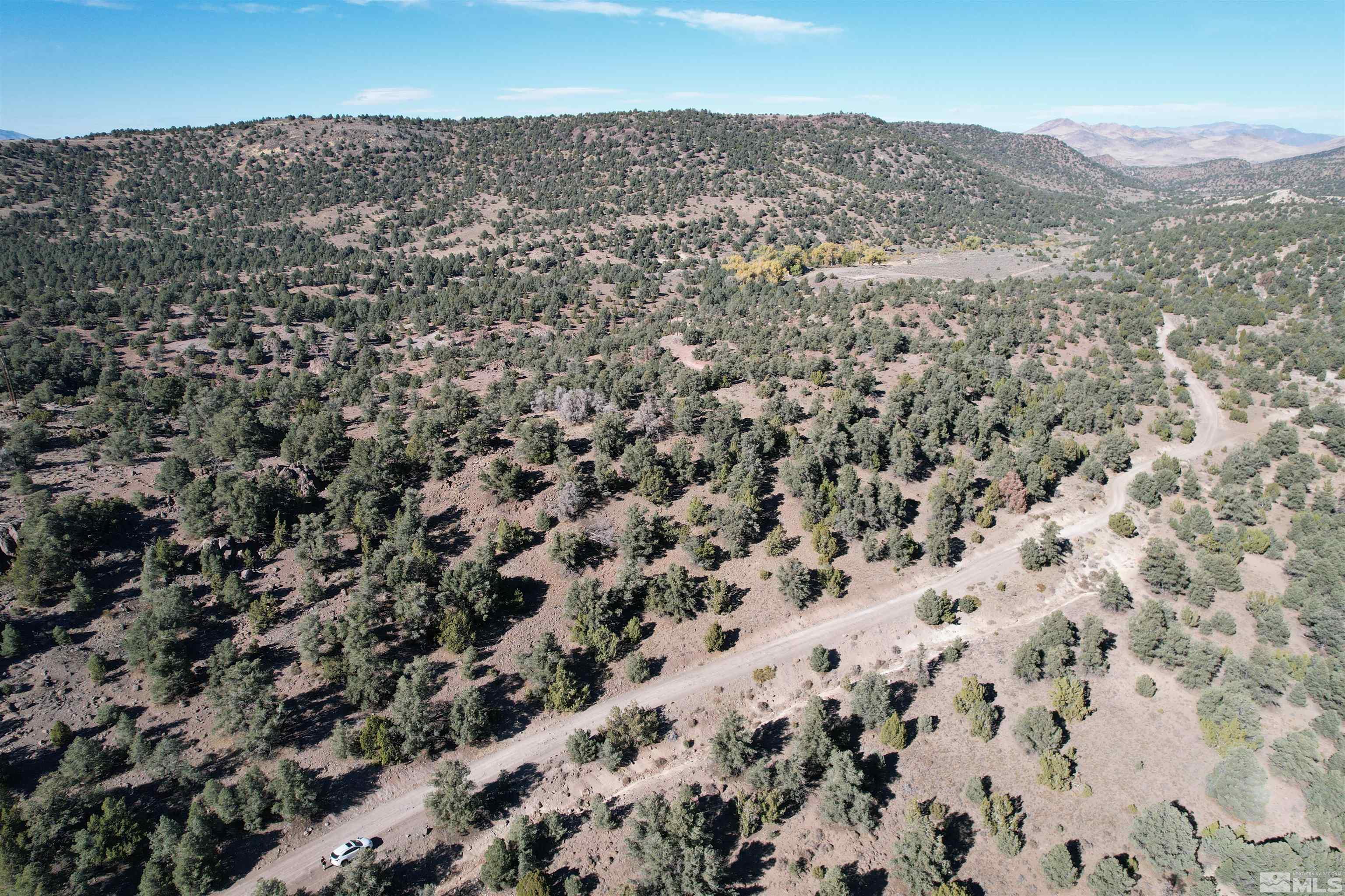 19400 Long Valley Road Reno, NV 89521 - Photo 8 of 15