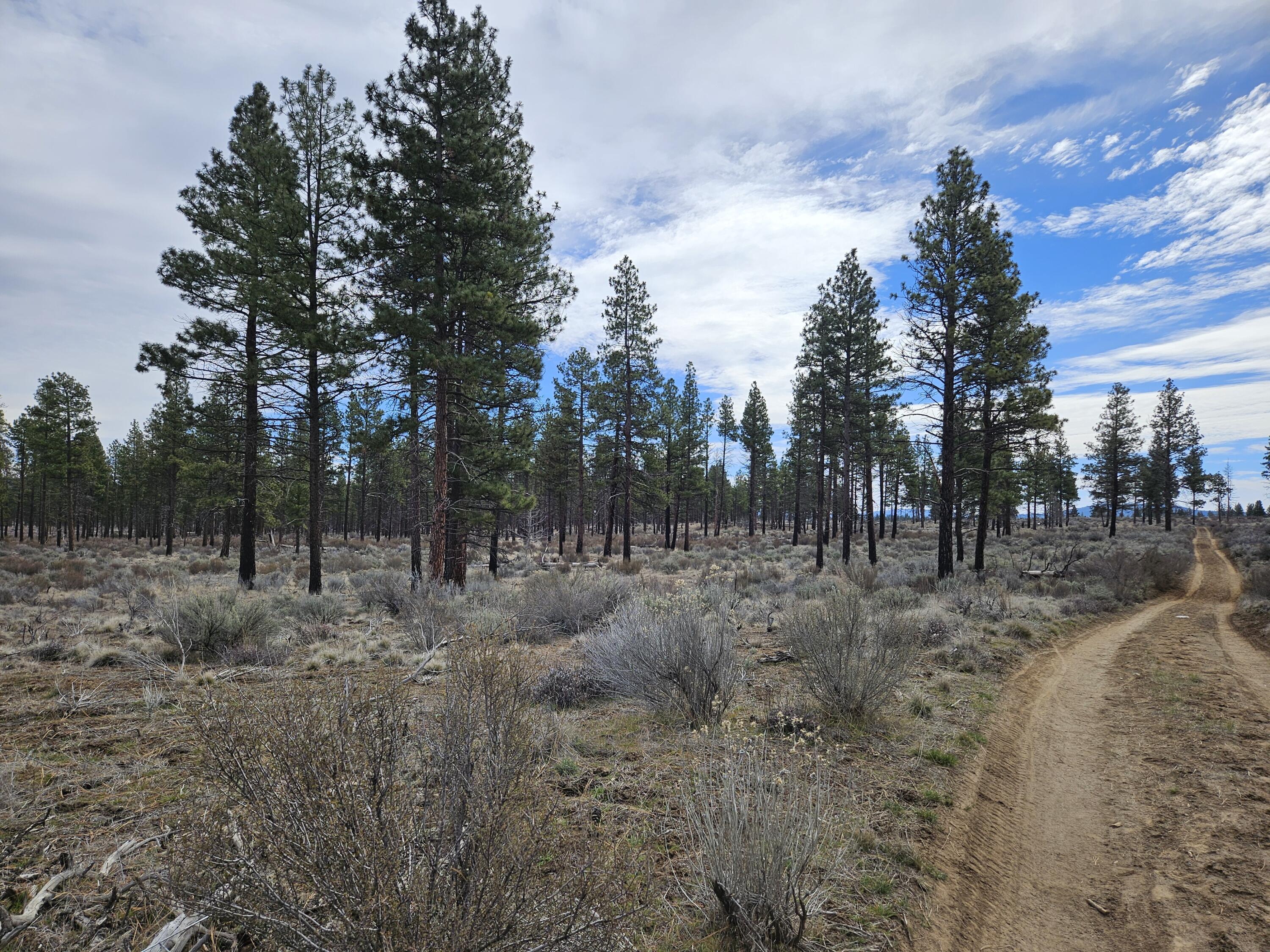 0 Canadian Honker Lane, Unit 9 Chiloquin, OR 97624 - Photo 4 of 11 20260313_123653