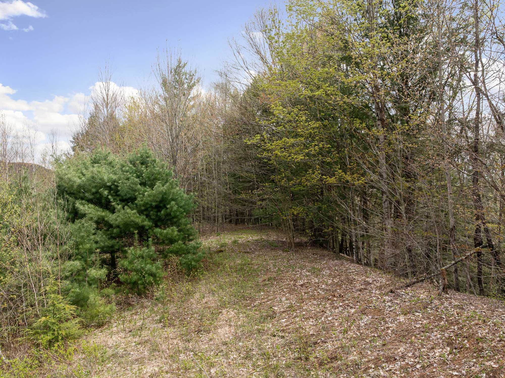 River View Road Jeffersonville, VT 05464 - Photo 3 of 11