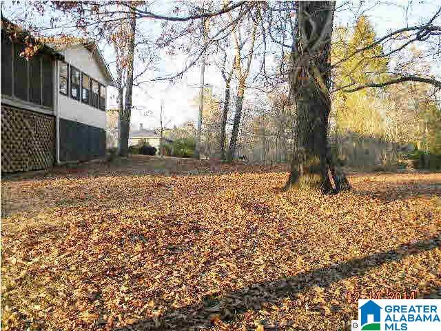 116 Old Spanish Trail Alabaster, AL 35007 - Photo 29 of 30