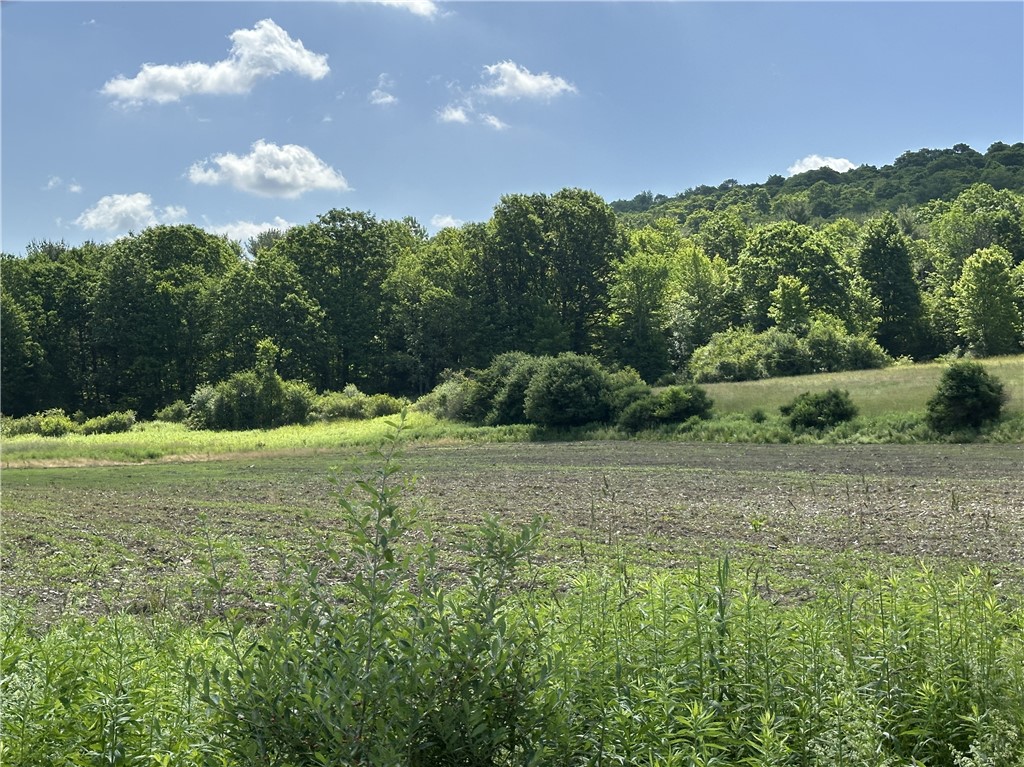 Lot 9 Summit Road Cuba, NY 14727 - Photo 14 of 22
