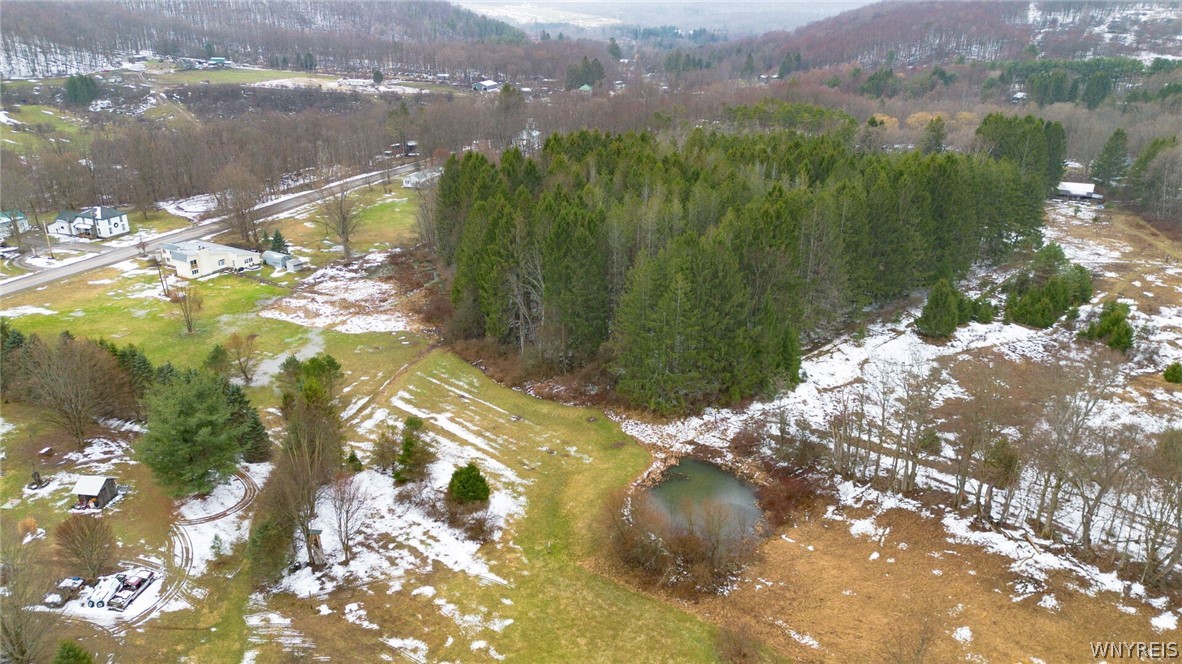 5324 Gooseneck Road Ashford, NY 14171 - Photo 6 of 38