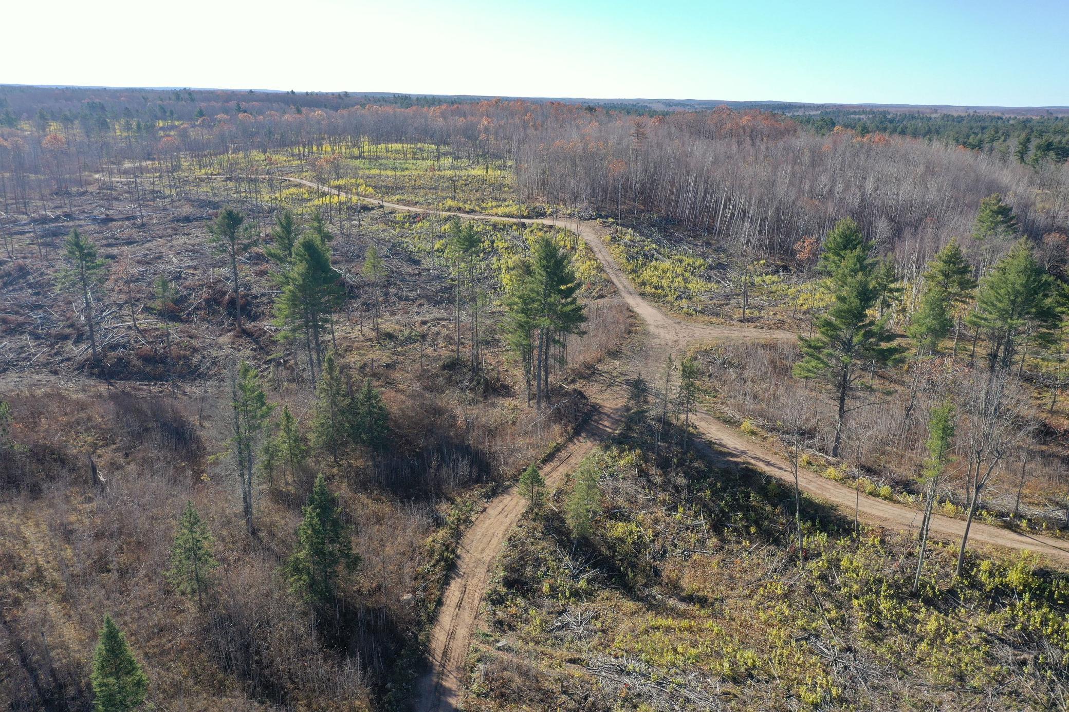 Tbd North Larsen Road Hayward, WI 54843 - Photo 3 of 36