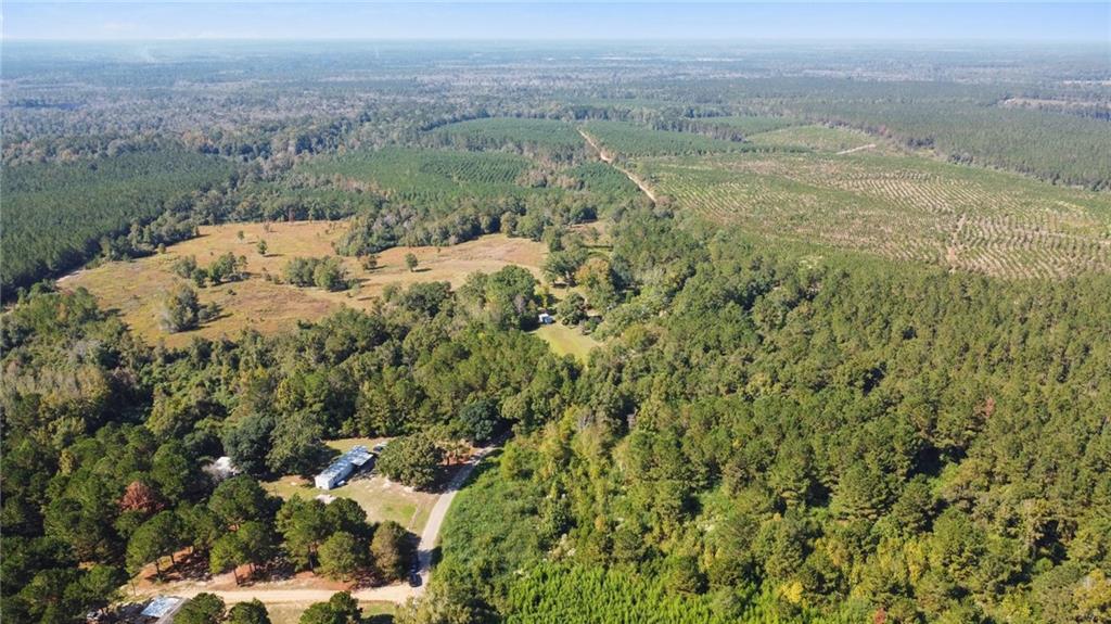 15369 South Choctaw Road Franklinton, LA 70438 - Photo 19 of 27