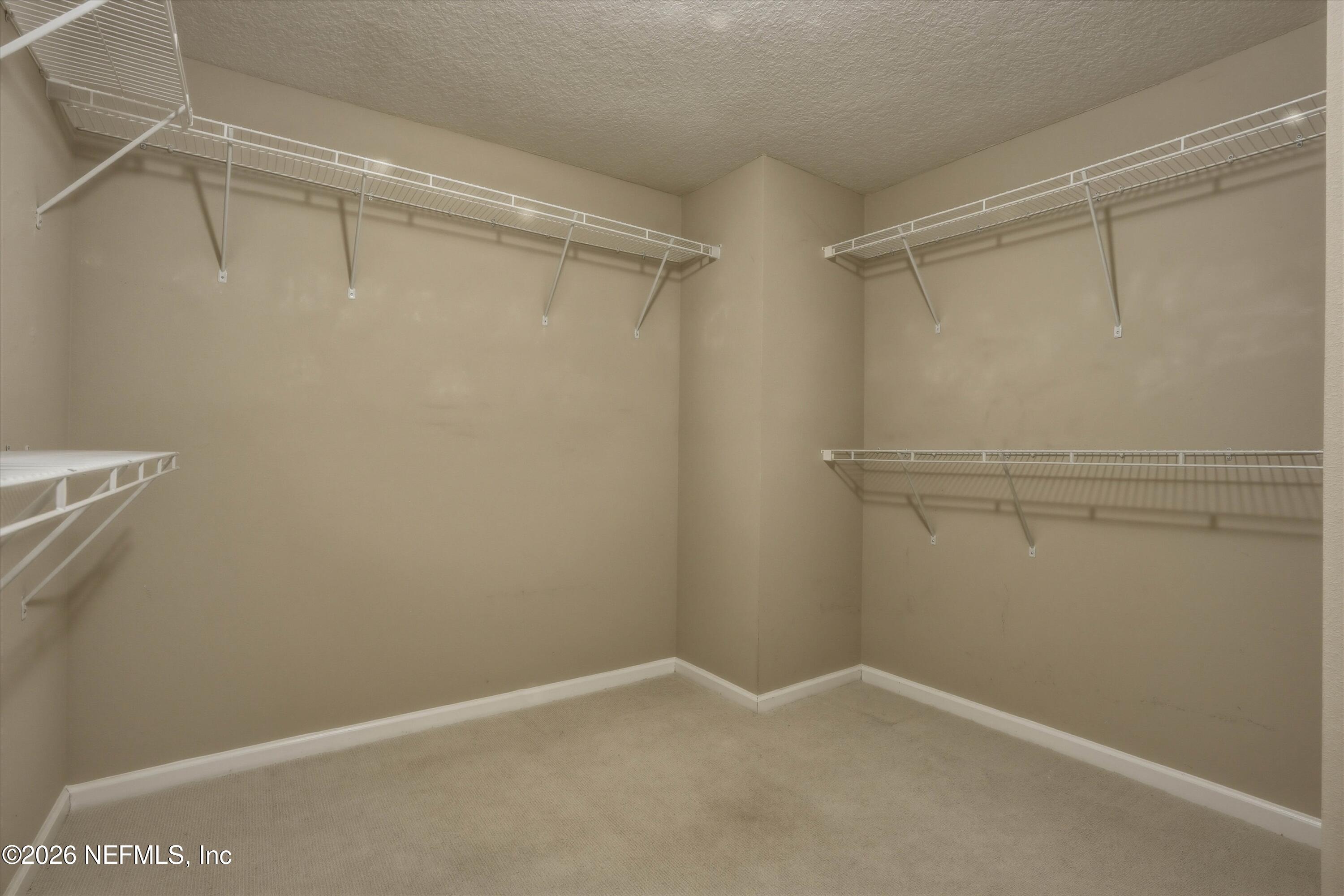 3908 Pipit Point Middleburg, FL 32068 - Photo 19 of 50 19-Walk-in Closet