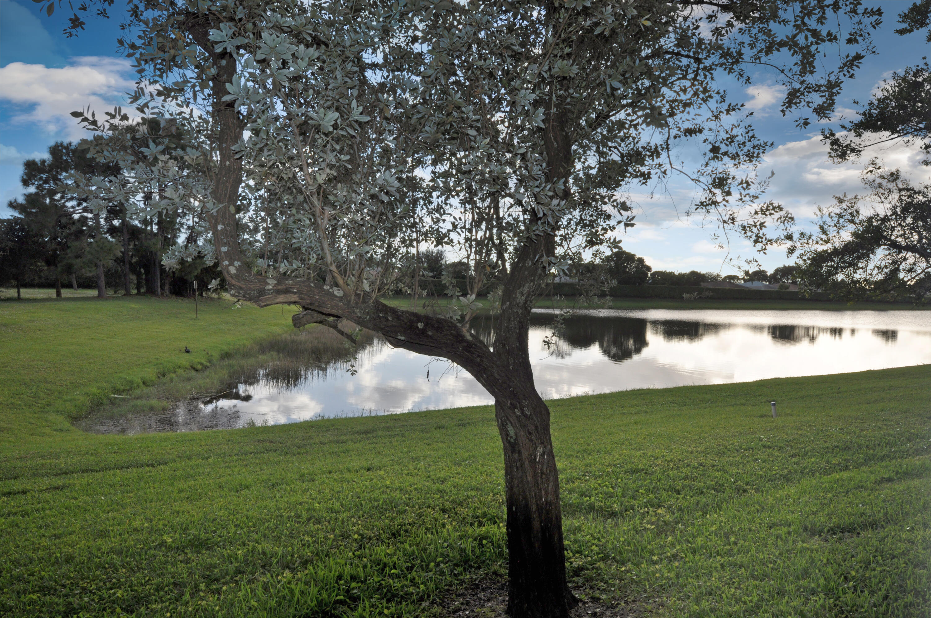 3179 Laurel Ridge Circle Riviera Beach, FL 33404 - Photo 13 of 35 DSC_0013-1
