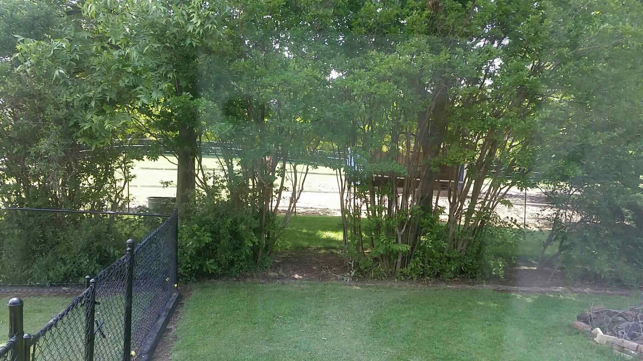 1212 Winkler Ferry Road Mount Vernon, IN 47620 - Photo 18 of 25 Gallery Image 18