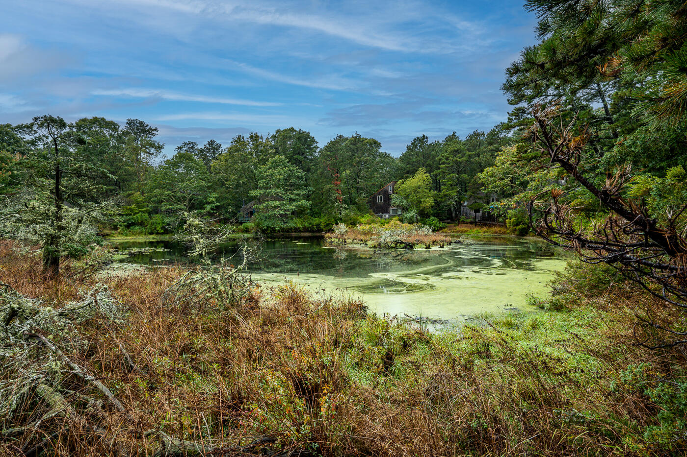1780 Route 6, Unit B3 Wellfleet, MA 02667 - Photo 22 of 22 a view of a field with plants and trees in the background