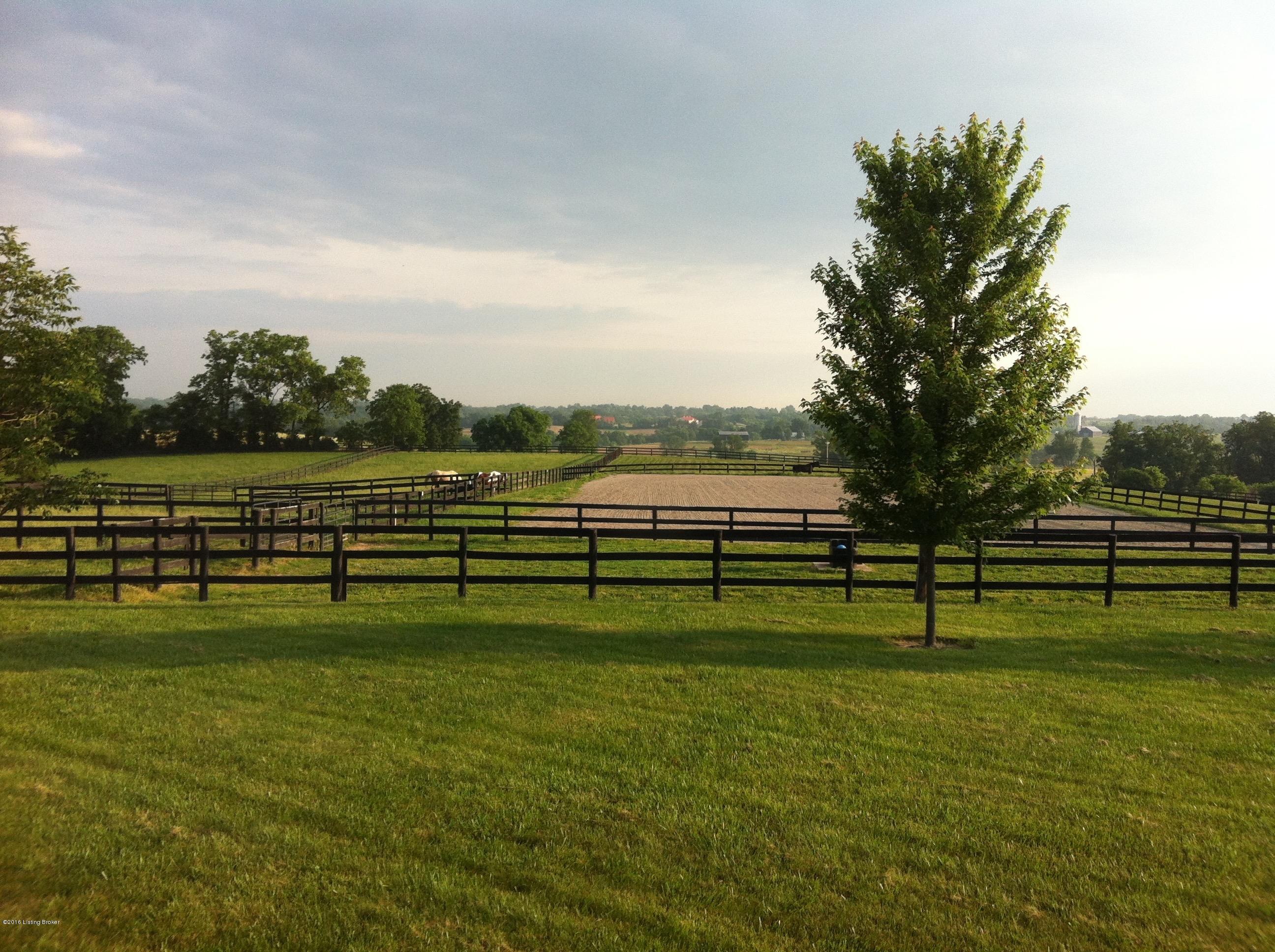 1633 McCoun Road Smithfield, KY 40068 - Photo 49 of 53 PASTURE