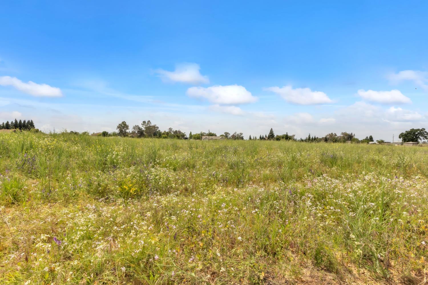 6701 Grant Line Road Sloughhouse, CA 95683 - Photo 28 of 31 a view of a lake with houses in the back