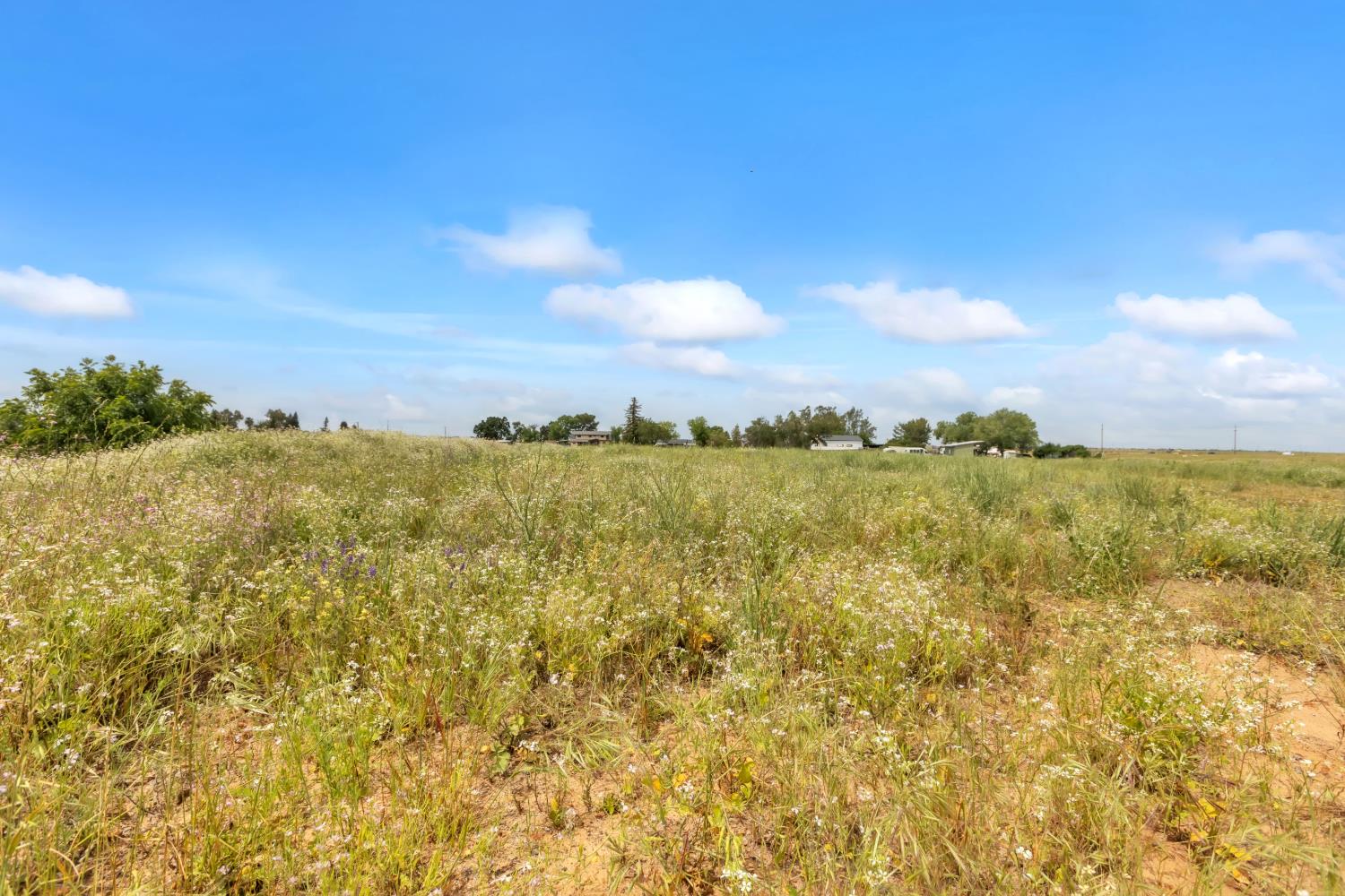 6701 Grant Line Road Sloughhouse, CA 95683 - Photo 30 of 31