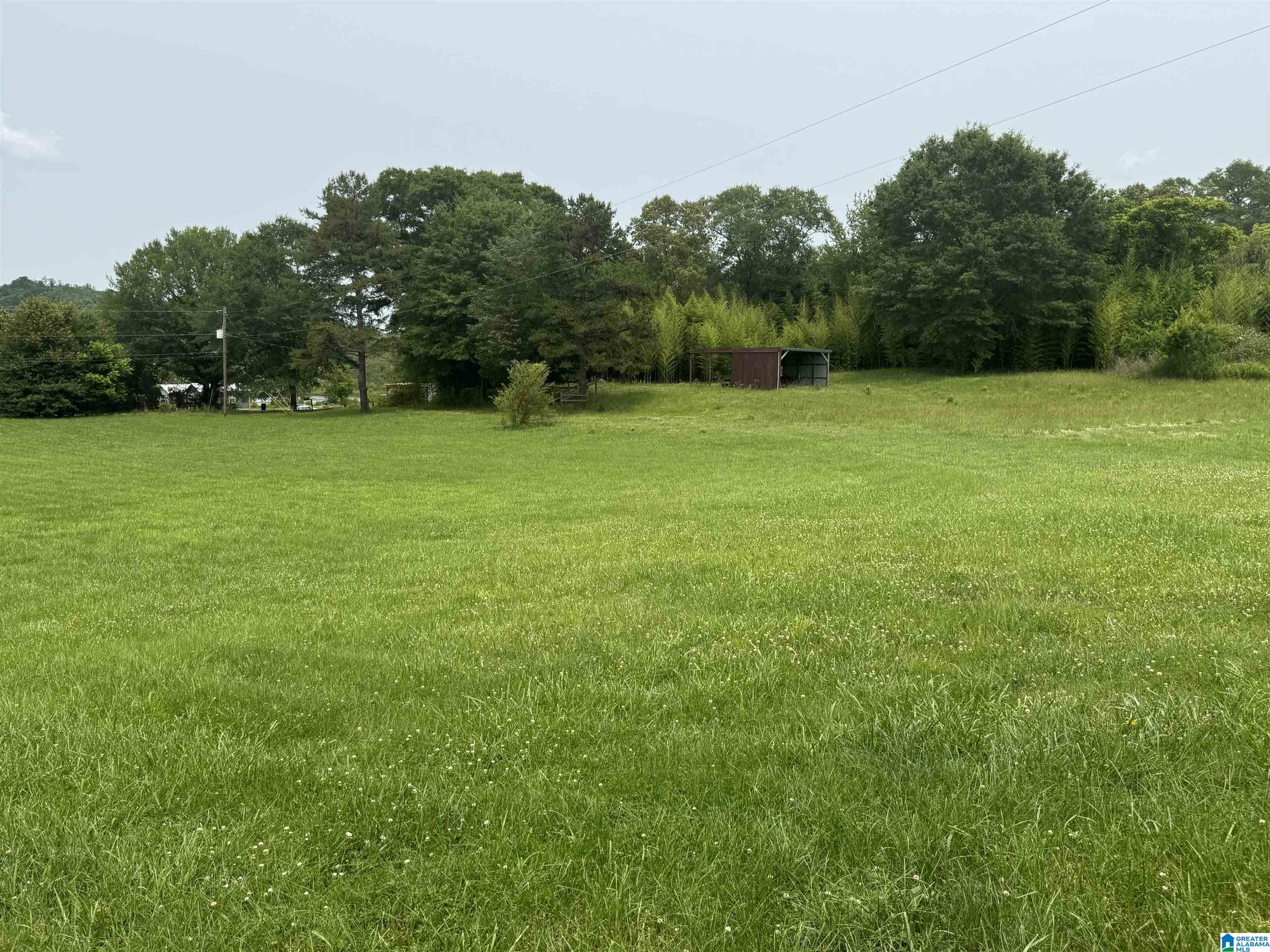 810 Riddle Farm Road Anniston, AL 36207 - Photo 34 of 34