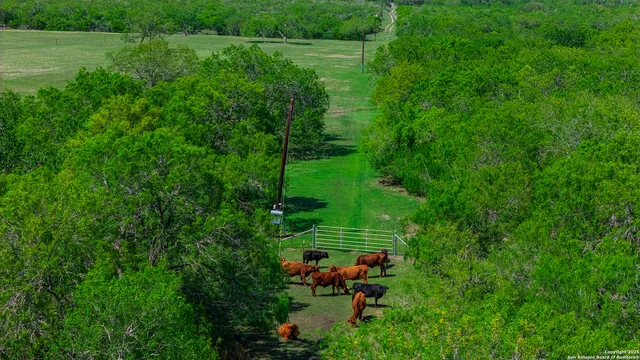 $1,538,000 | 4003 Fm 1349, Beeville, TX 78102