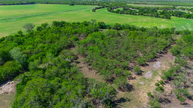 $1,538,000 | 4003 Fm 1349, Beeville, TX 78102