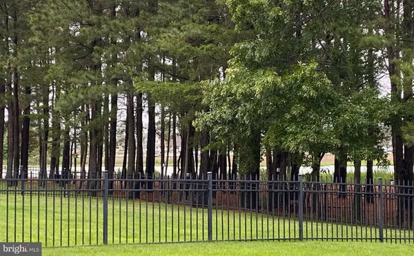a view of a swimming pool and trees