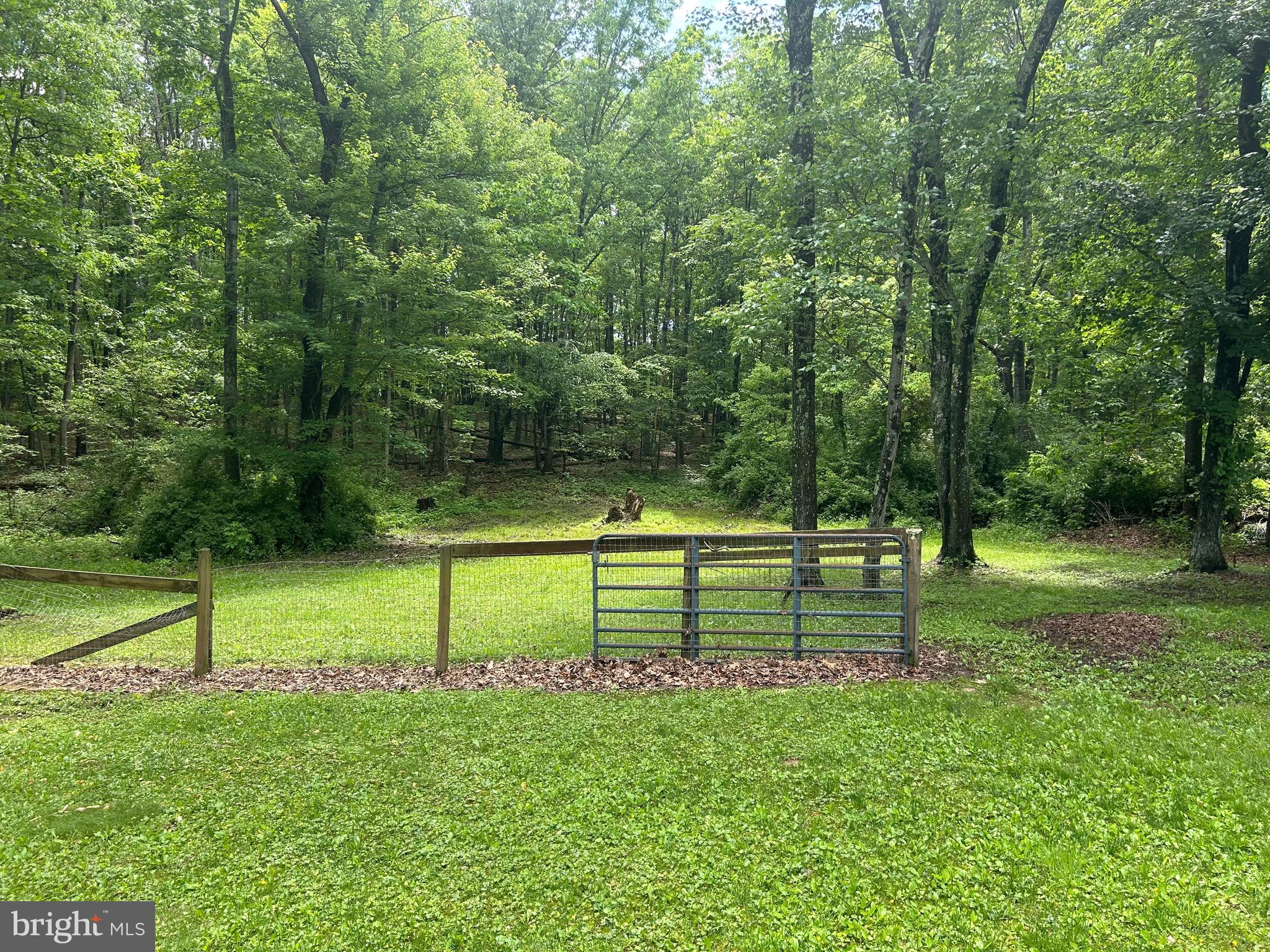 255 Sleepywoods Road Cross Junction, VA 22625 - Photo 5 of 30 Back Yard