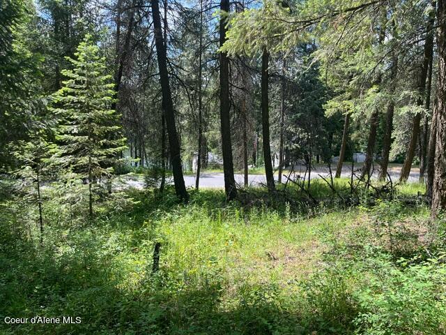 Nna Hanaford Road Blanchard, ID 83804 - Photo 1 of 1 image12