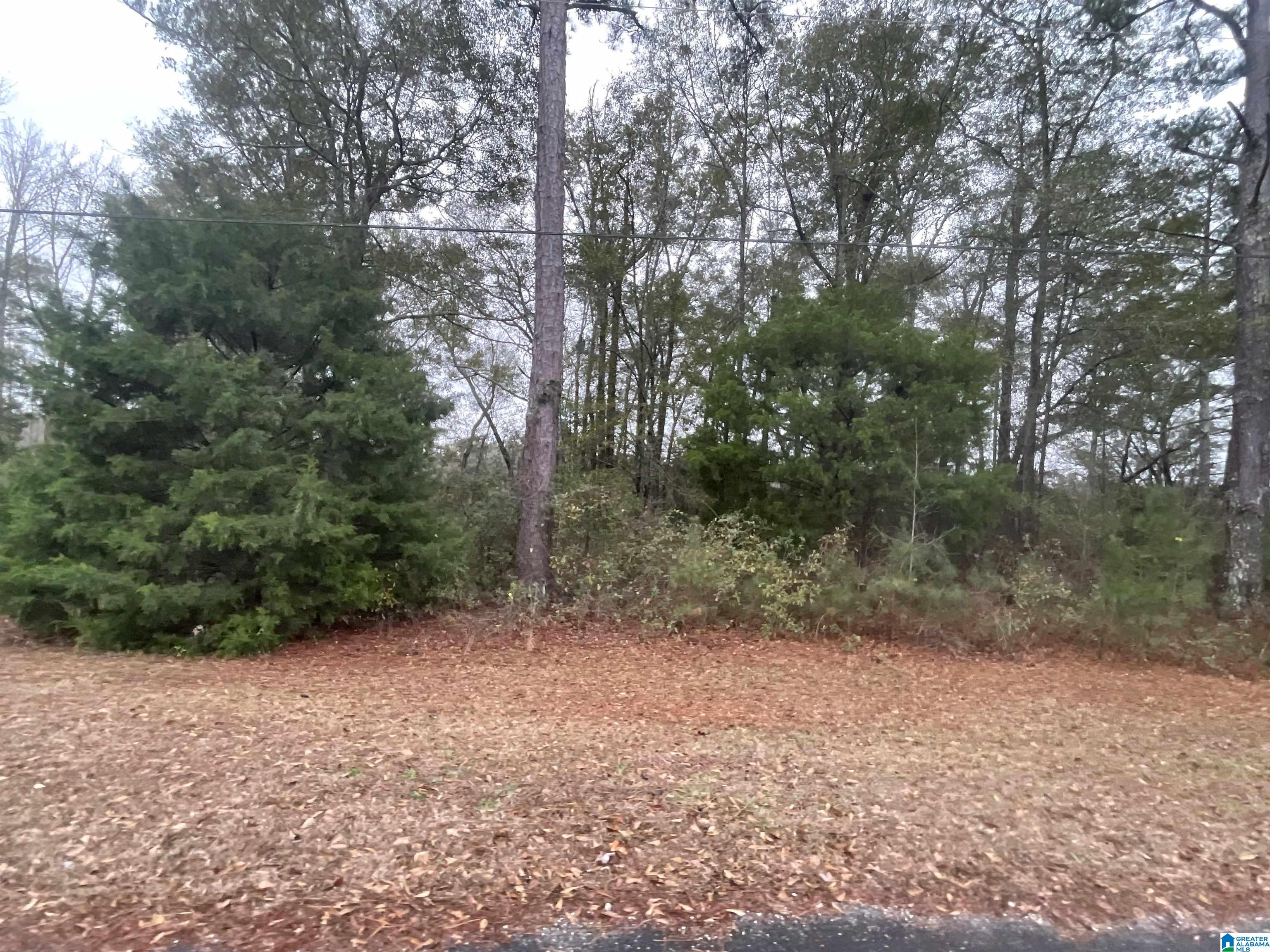 0 Friendship Circle Clanton, AL 35045 - Photo 3 of 4