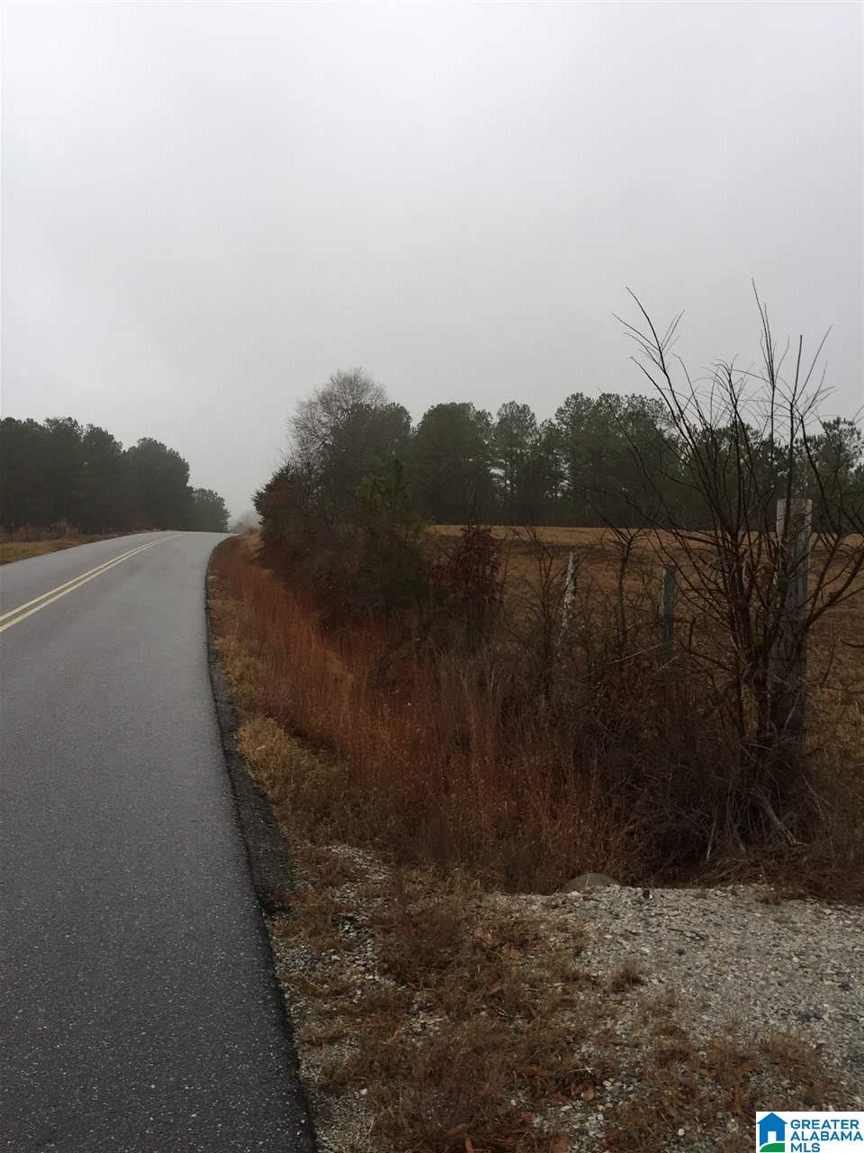0 Hollingsworth Road Jacksonville, AL 36265 - Photo 6 of 7