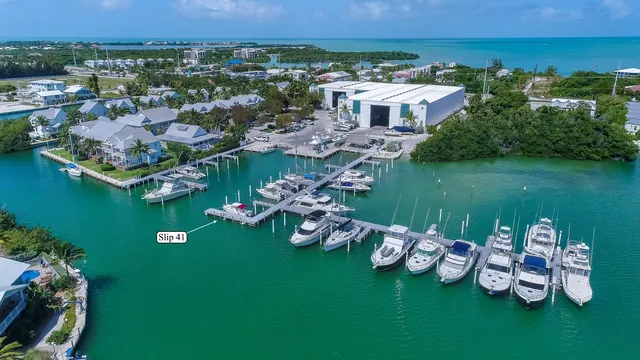 an aerial view of a house with outdoor space lake view and lake view