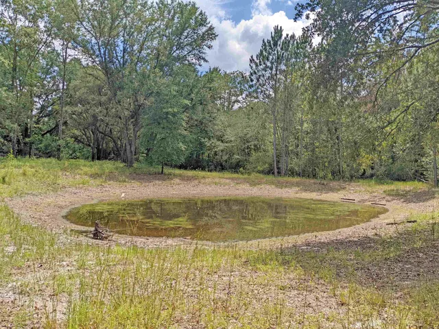 $800,000 | 12778 County Road 53, Lee, FL 32059