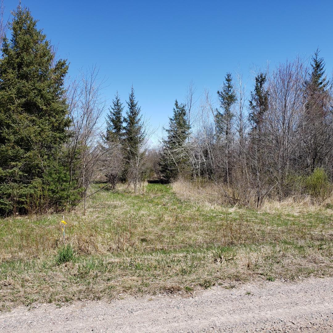 5166 West 11 Mile Road Dafter, MI 49724 - Photo 33 of 33 Gallery Image 33