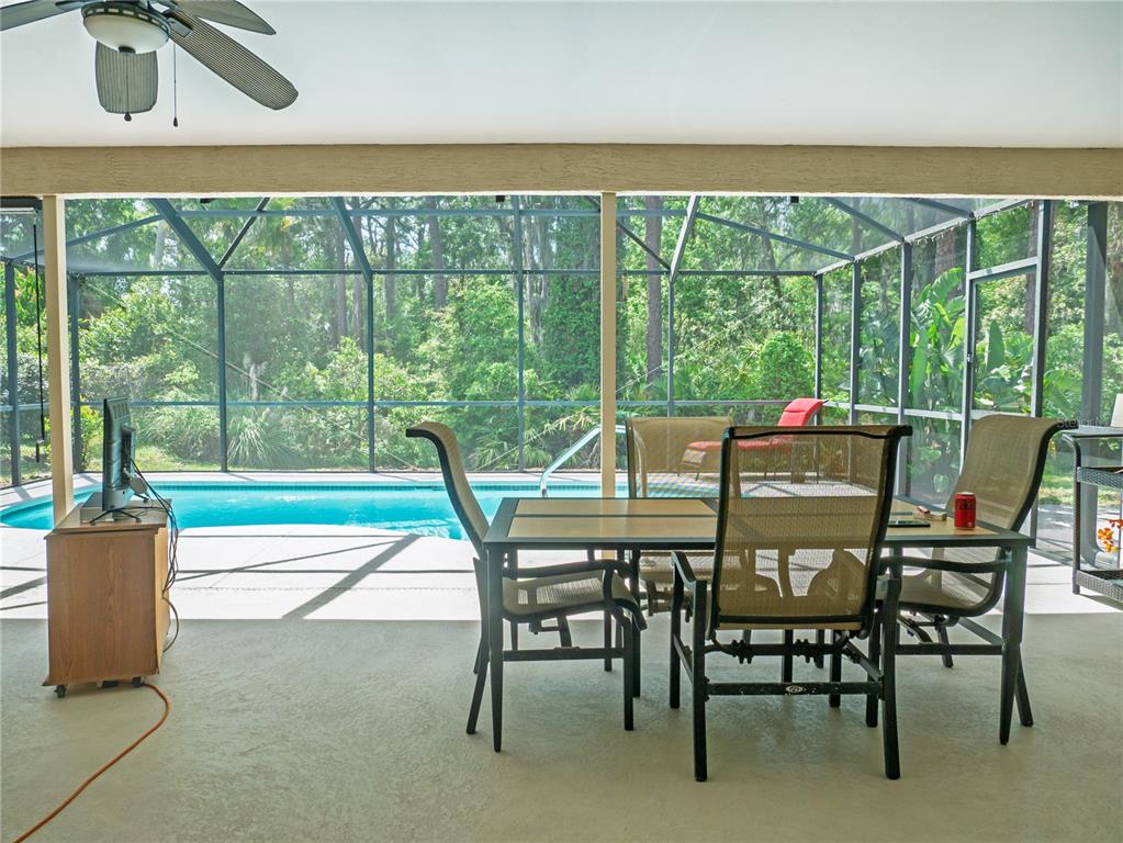 5343 Sagamore Court New Port Richey, FL 34655 - Photo 26 of 37