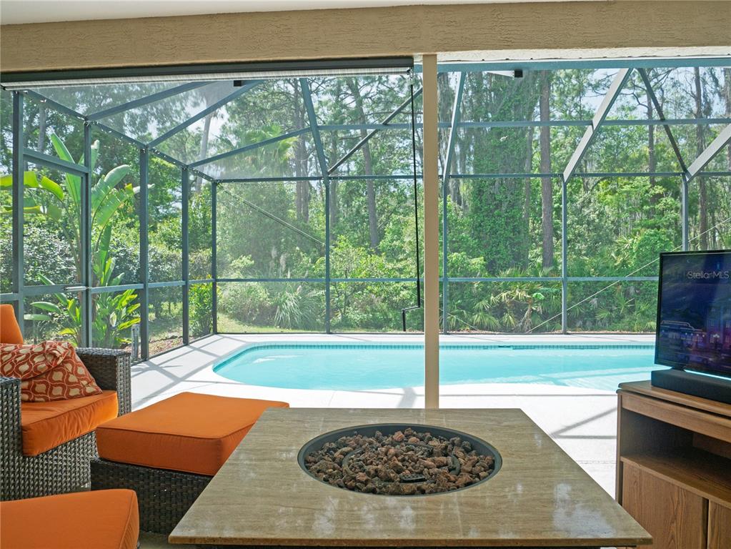 5343 Sagamore Court New Port Richey, FL 34655 - Photo 30 of 37