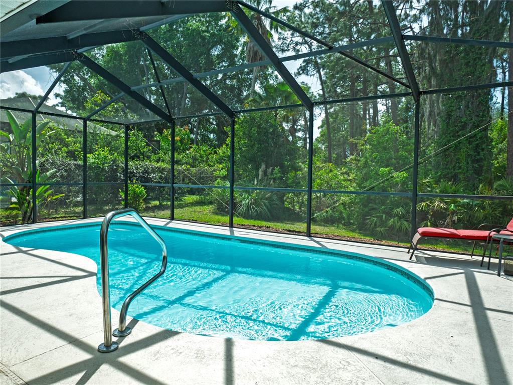 5343 Sagamore Court New Port Richey, FL 34655 - Photo 32 of 37