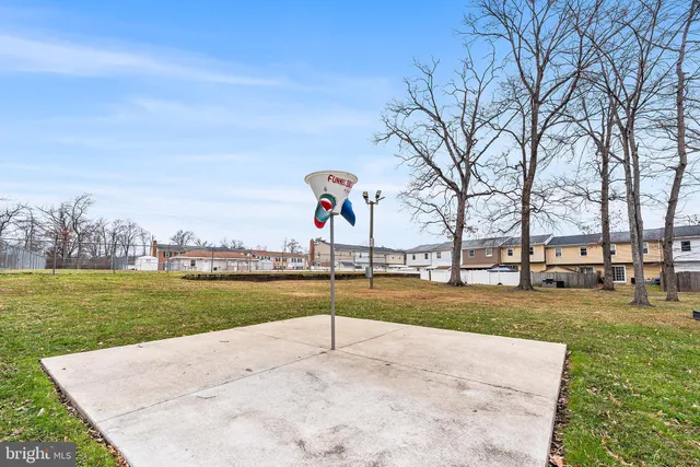 a view of a park with large trees