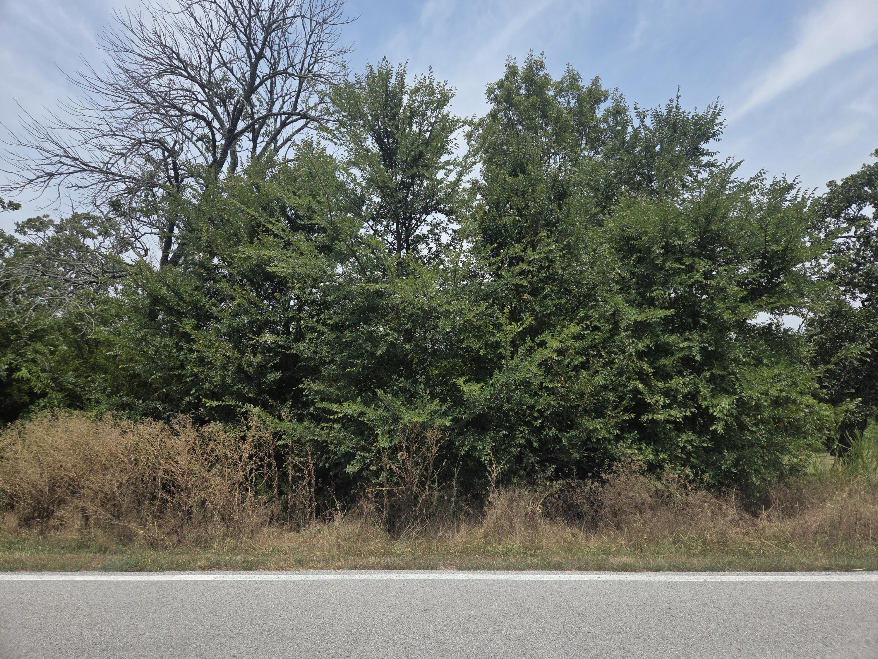 Lot 175 Black Forest Ln Branson Lane Reeds Spring, MO 65737 - Photo 1 of 21 20260723_122011