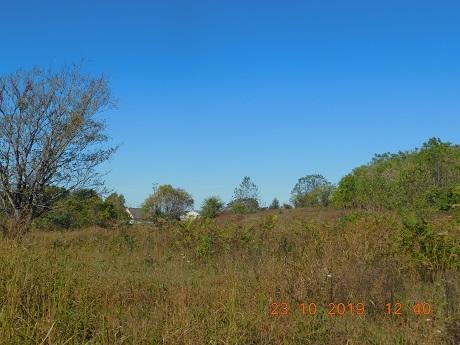16.65-ac Irvine Road Science Hill, KY 42553 - Photo 1 of 5 acreage scene 4