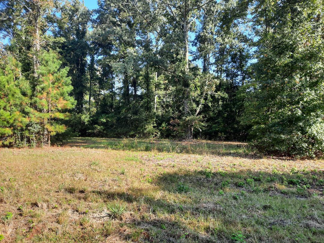 769 Main Road Johns Island, SC 29455 - Photo 2 of 5 commercial zoning