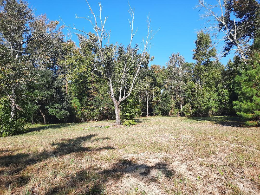 769 Main Road Johns Island, SC 29455 - Photo 3 of 5 Partially cleared