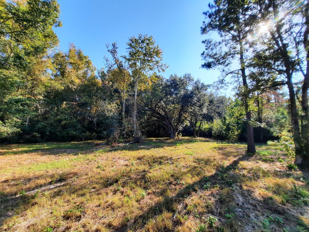 769 Main Road Johns Island, SC 29455 - Photo 4 of 5 Ideal Location