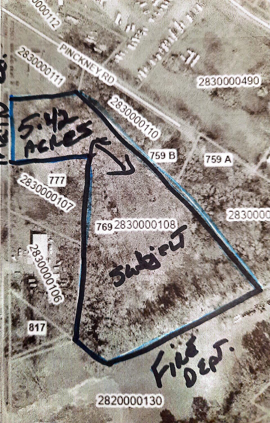 769 Main Road Johns Island, SC 29455 - Photo 5 of 5 No flood Zone