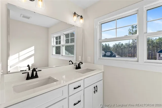 a bathroom with a sink and a window