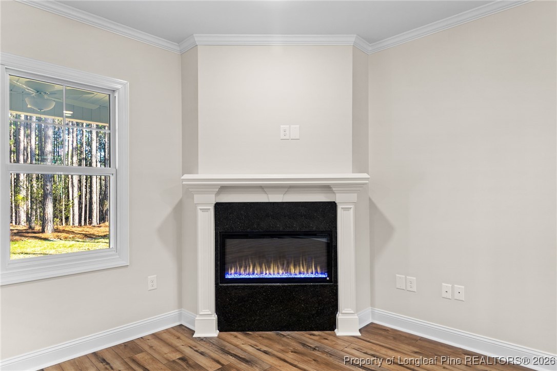 944 Rhum Drive Fayetteville, NC 28311 - Photo 9 of 49 a living room with a fireplace and a window