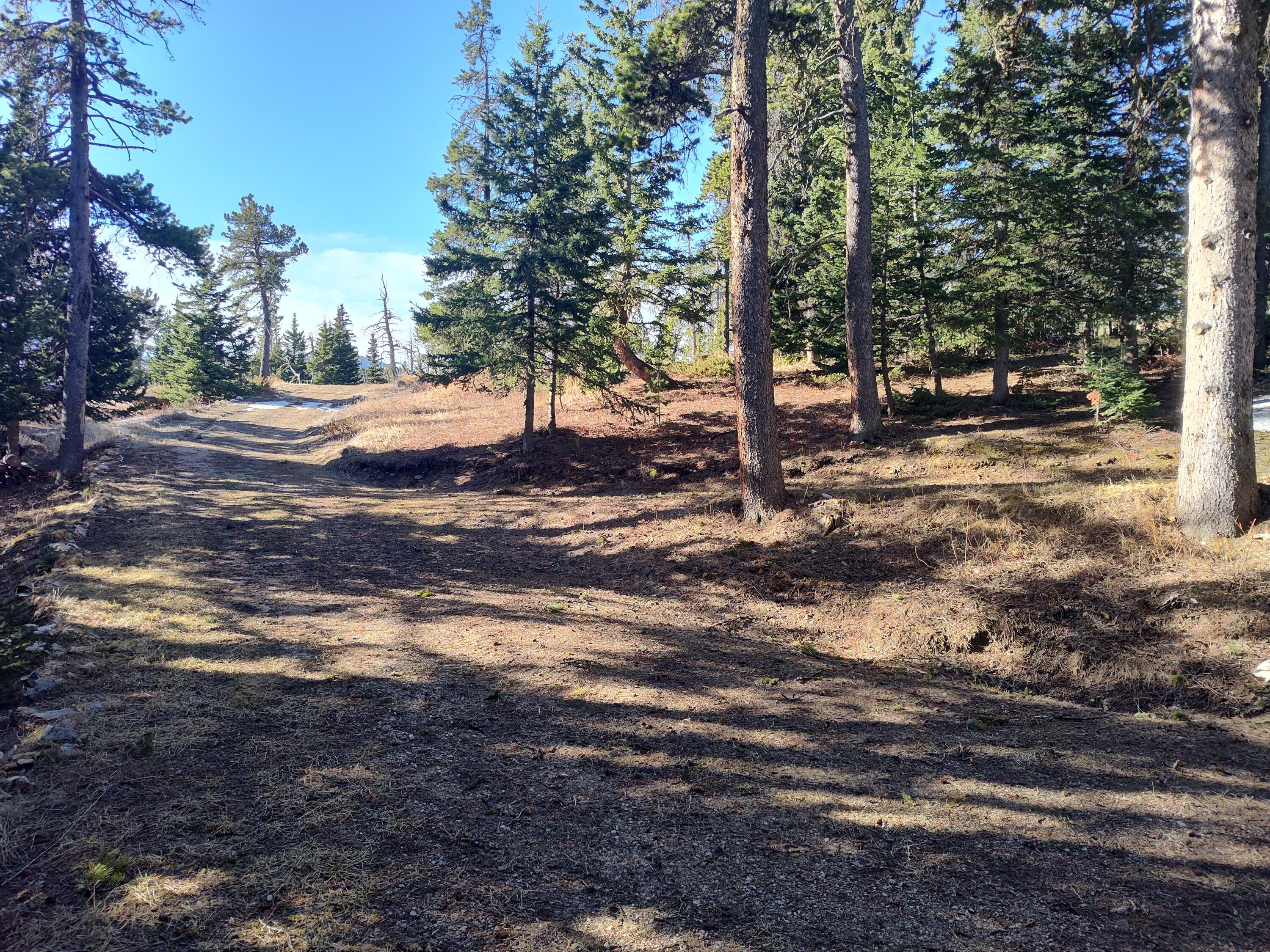 45 Blacktooth Road Sheridan, WY 82801 - Photo 6 of 47 Driveway