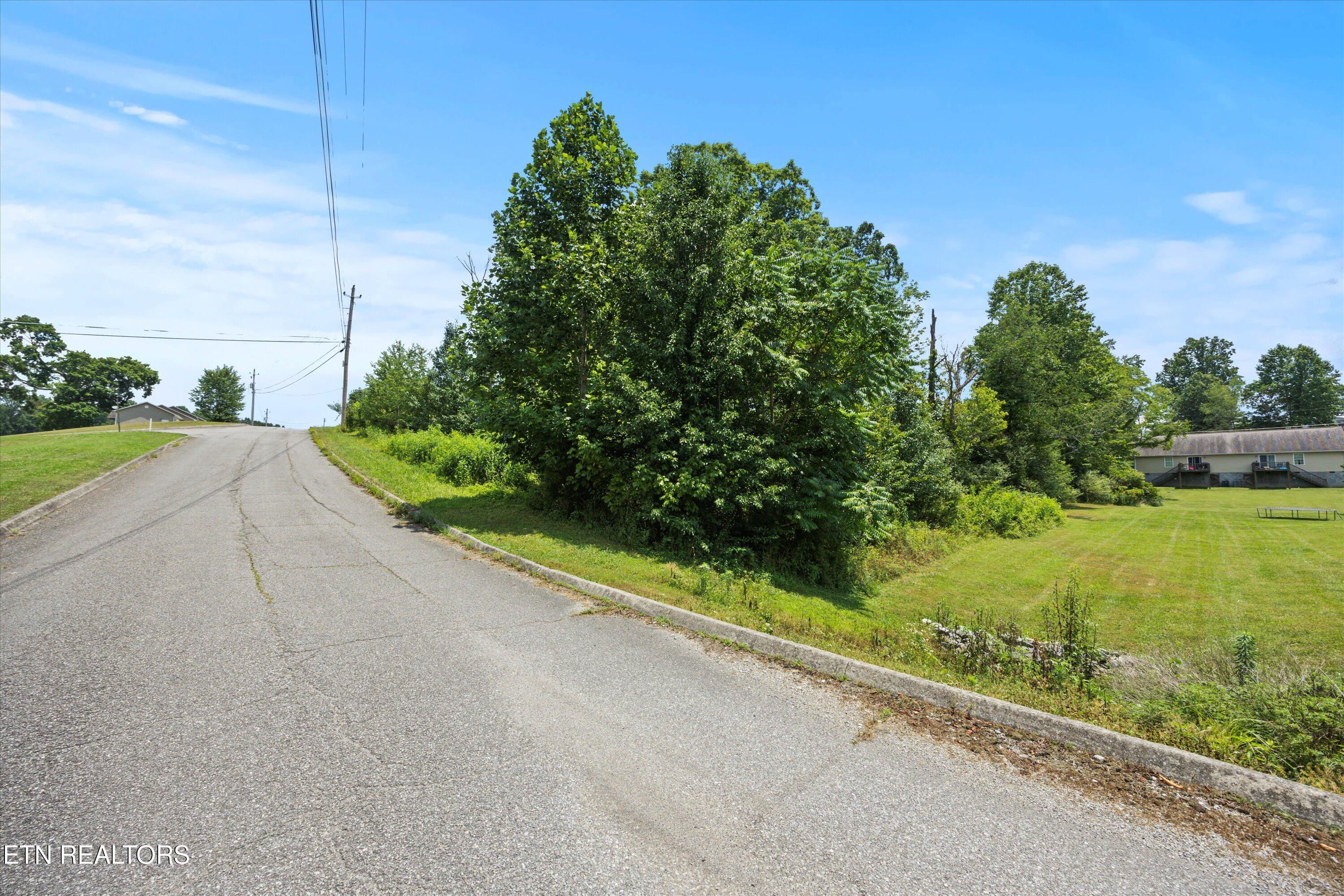 Storm Lane Jacksboro, TN 37757 - Photo 14 of 16 14-RS9_2564