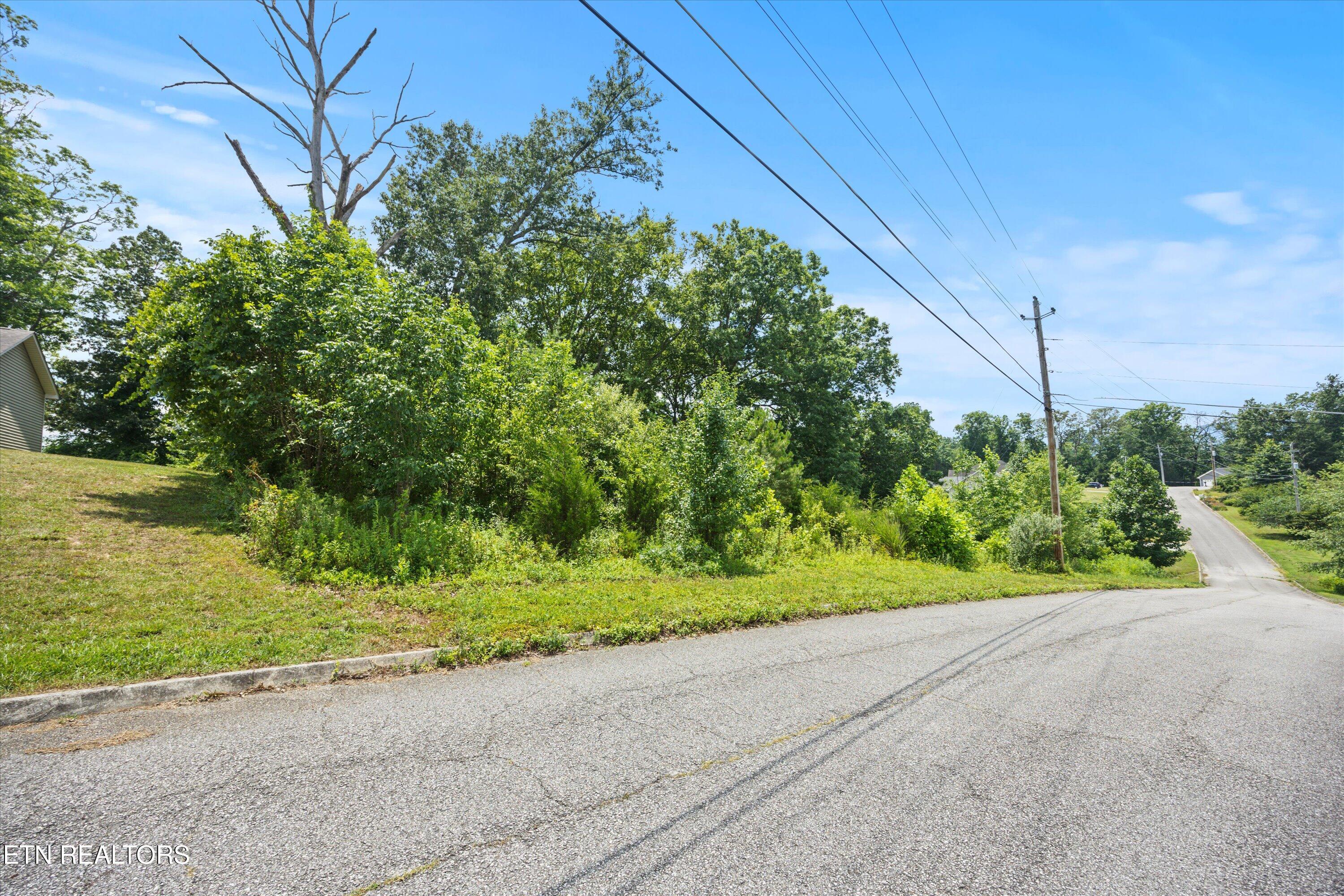 Storm Lane Jacksboro, TN 37757 - Photo 15 of 16 15-RS9_2568_1