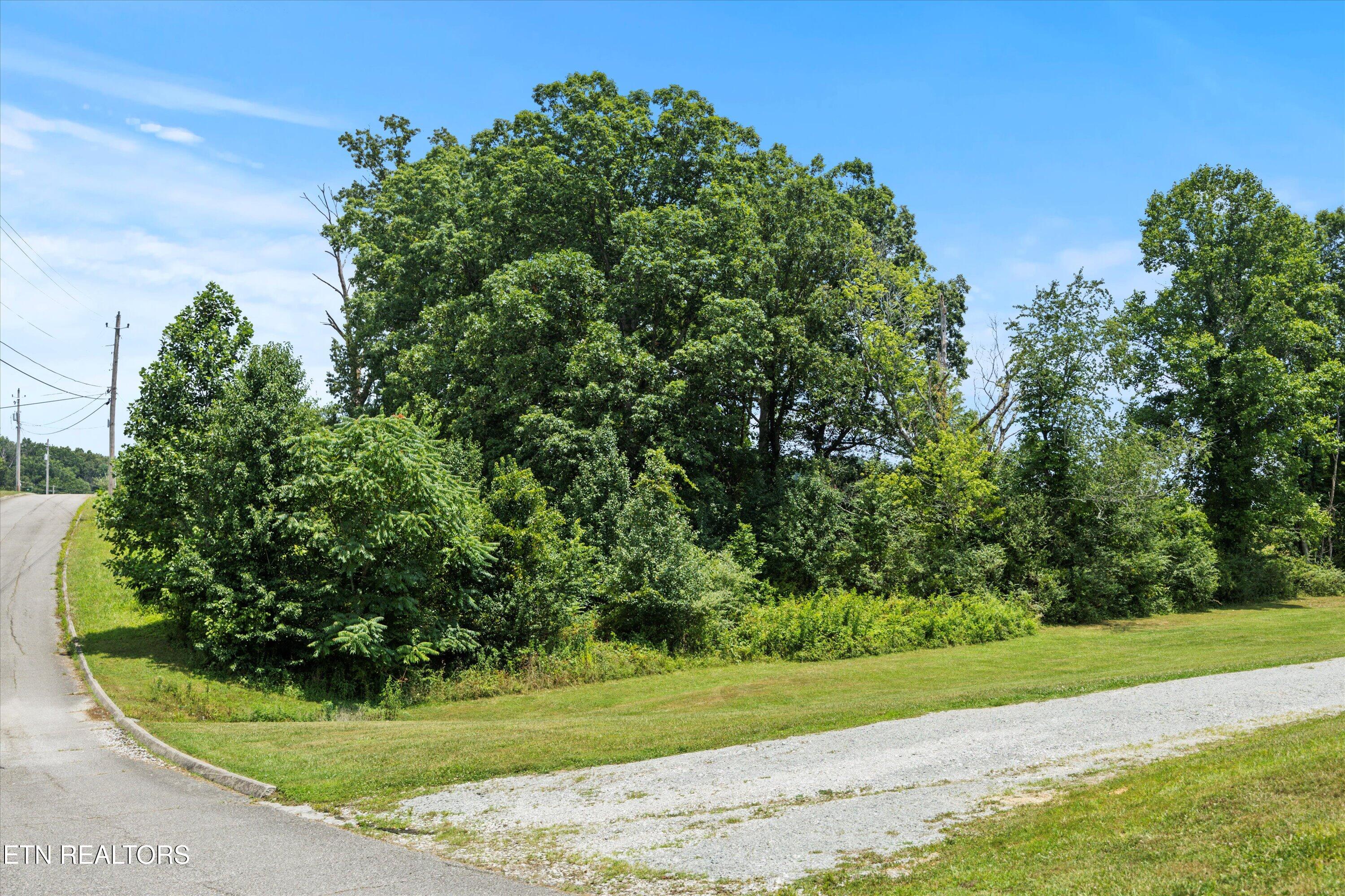 Storm Lane Jacksboro, TN 37757 - Photo 16 of 16 16-RS9_2573