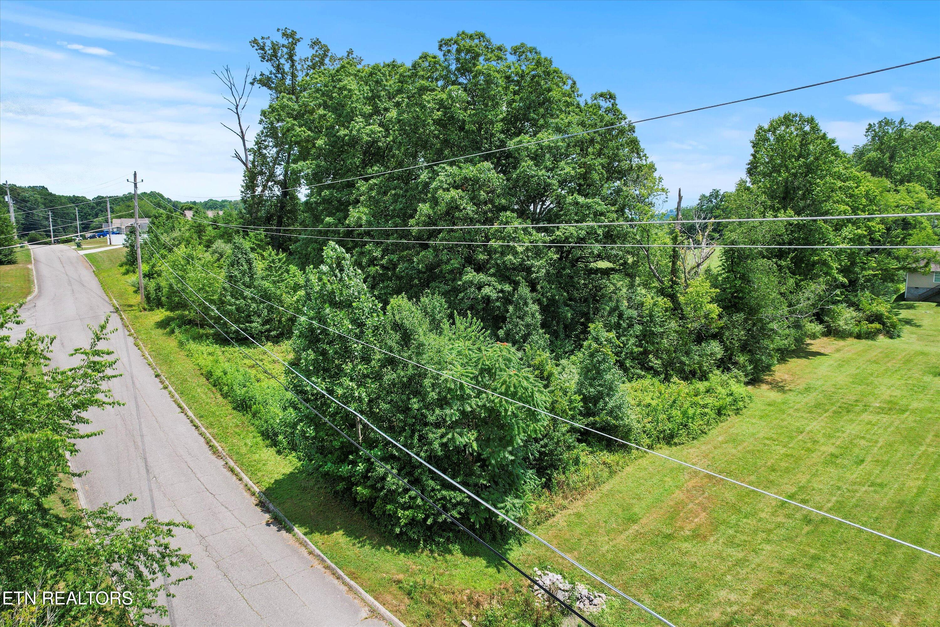 Storm Lane Jacksboro, TN 37757 - Photo 2 of 16 02-DJI_0001